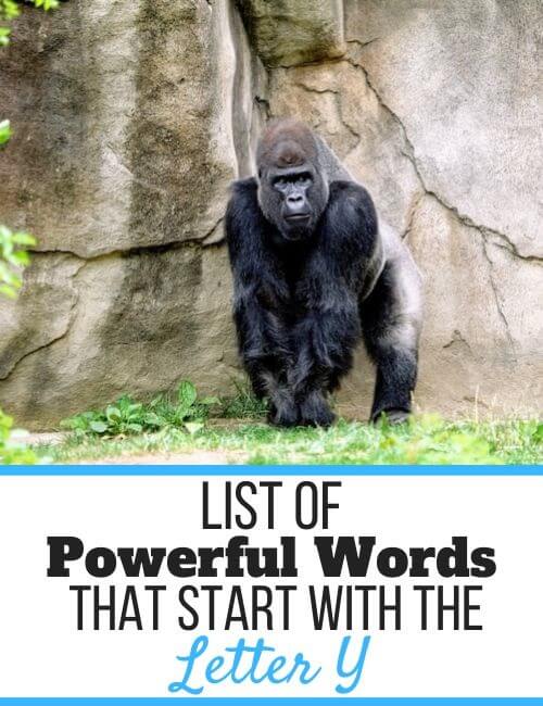 Powerful Words That Start With Y