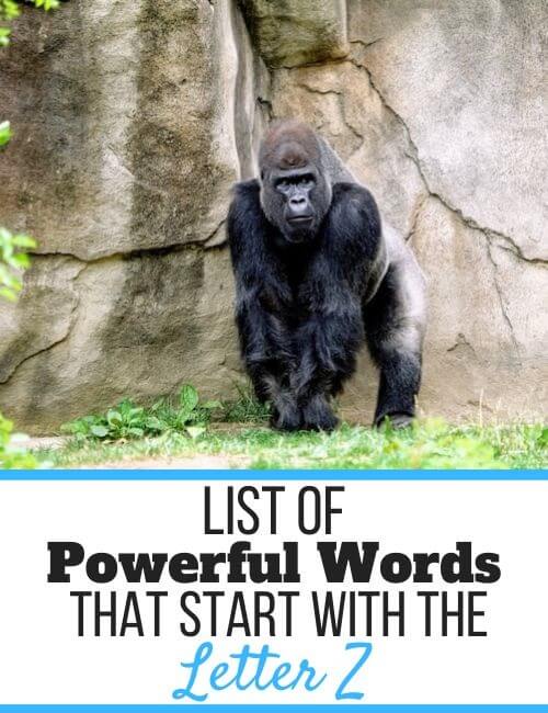 Powerful Words That Start With Z